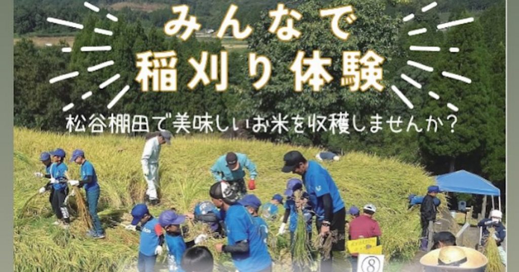 昔ながらの手刈りで稲刈りと、掛け干し体験を行います 体験後は昼食もありますよ〜