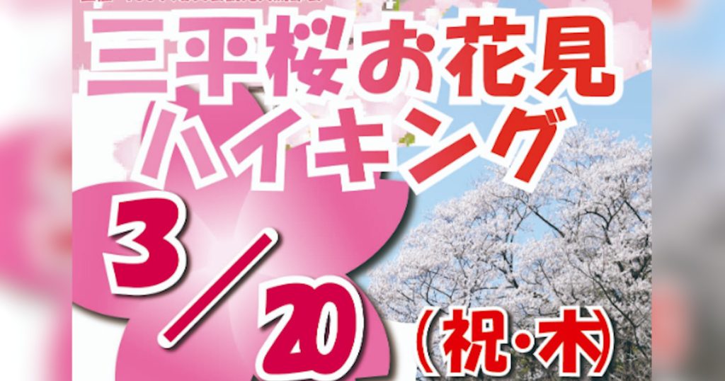 山中に咲き誇る萩地区の三平桜までの約1キロメートルのお花見ハイキングです この機会にぜひご参加ください