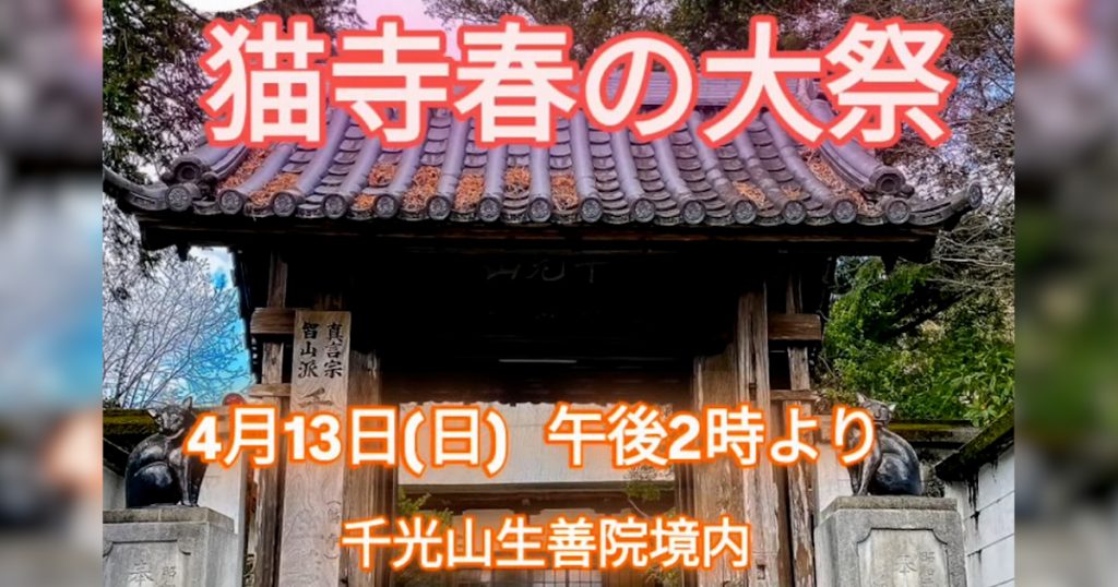 観音堂記念法要の他、抽選会や餅投げなどが行われます