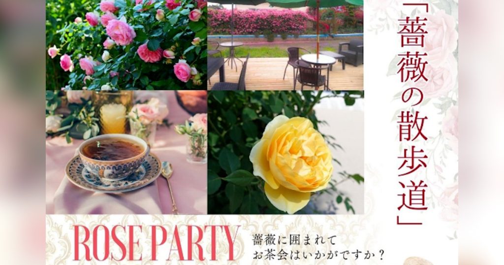 錦町オープンガーデン期間中の5月11日（日）ギャラリー小川にて、開催🌹 薔薇の観覧は無料です！！ 駐車場には20台停められますので、ゆっくり薔薇の小道を散歩されて下さいね！