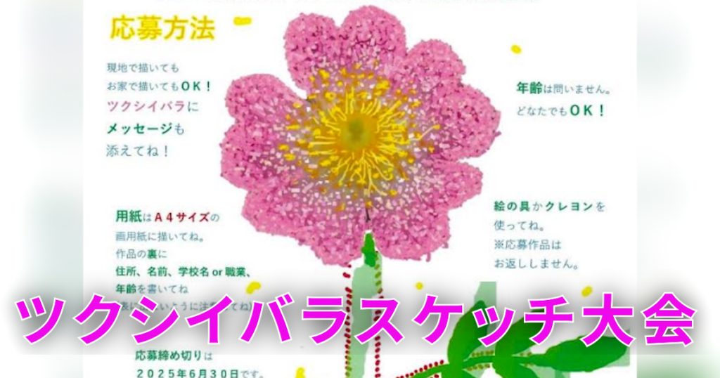 がんばって復活しようとしているツクシイバラに、絵を描いて応援のエールをください