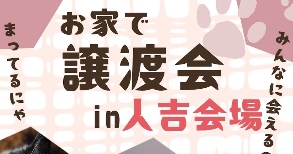 ずっとの幸せを探している保護猫と保護猫を家族に迎えたい里親さんの情報が集まる場所ステーションです🍀 今回の会場は人吉市駒井田町です