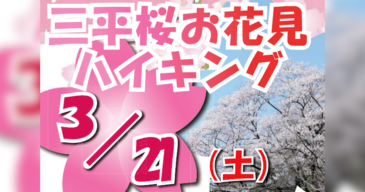 山あいの道を少し歩いて、静かに咲く一本桜に会いに行くお花見